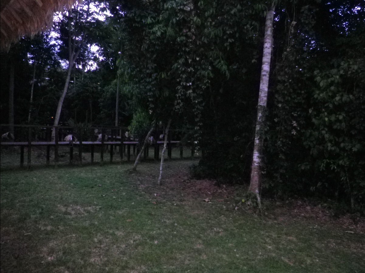 The Lodge02